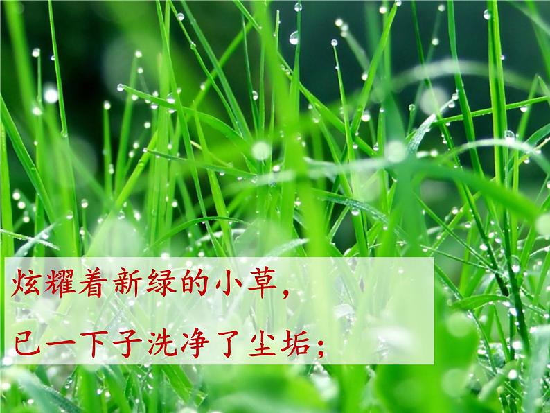 人教部编版语文四下-12在天晴了的时候 课件06