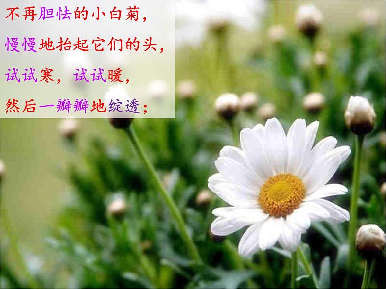 人教部编版语文四下-12在天晴了的时候 课件07