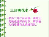 人教部编版语文四下-4三月桃花水 课件