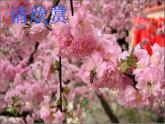 人教部编版语文四下-4三月桃花水 课件
