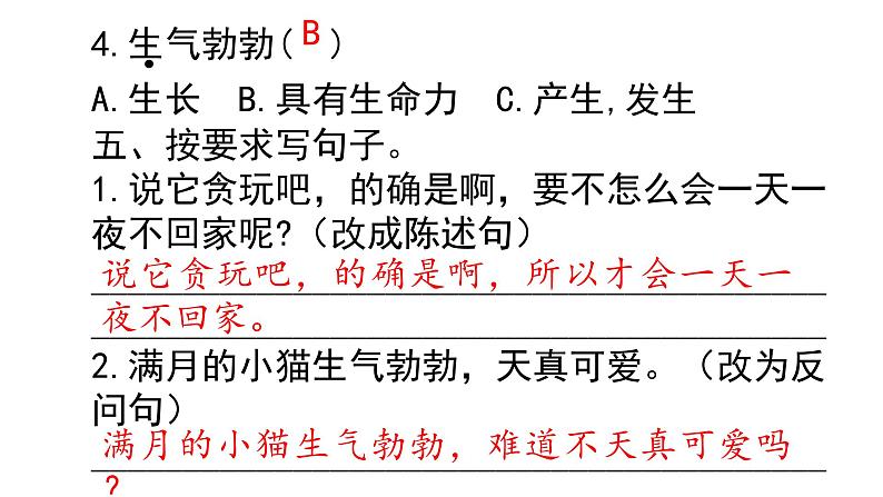 四年级下册语文作业课件-4.13猫 部编版04