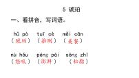 小学语文人教部编版四年级下册5 琥珀作业ppt课件