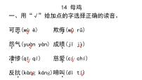 2020-2021学年14 母鸡作业ppt课件