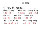 小学语文人教部编版四年级下册11 白桦作业ppt课件