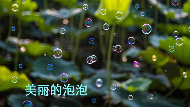 部编版三年级下册语文《肥皂泡》　课件01