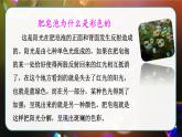 部编版三年级下册语文《肥皂泡》　课件