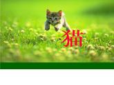 四年级下册语文课件－13猫 ｜部编版