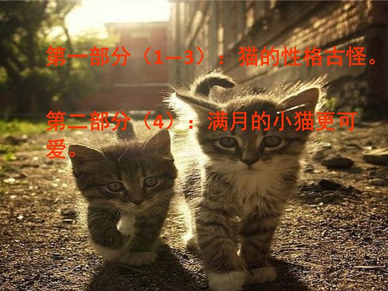 四年级下册语文课件－13猫 ｜部编版第3页