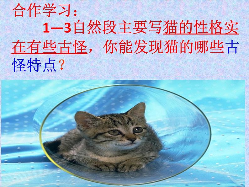 四年级下册语文课件－13猫 ｜部编版第4页