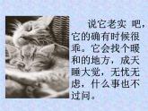四年级下册语文课件－13猫 ｜部编版