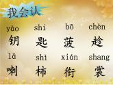 小学语文 人教课标版（部编）三年级上册 《秋天的雨》教学 课件