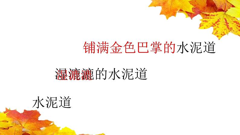 小学语文 人教课标版（部编） 三年级上册  5 铺满金色巴掌的水泥道   课件02