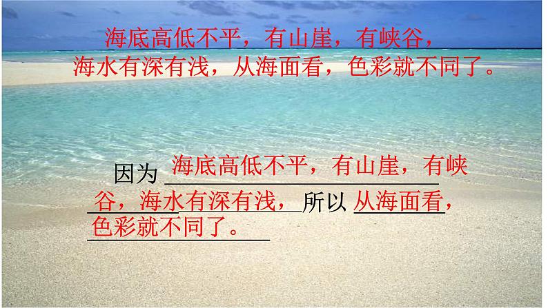 小学语文人教课标版（部编）三年级上册18 富饶的西沙群岛  课件08