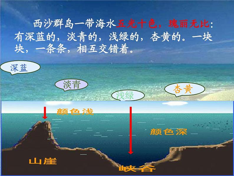 小学语文人教课标版（部编）三年级上册18富饶的西沙群岛 (1) 课件06