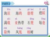 小学语文人教课标版（部编）三年级上册19 海滨小城《海滨小城》 课件