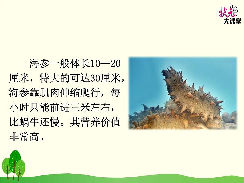小学语文人教课标版（部编）三年级上册18 富饶的西沙群岛 《富饶的西沙群岛》教学 课件08