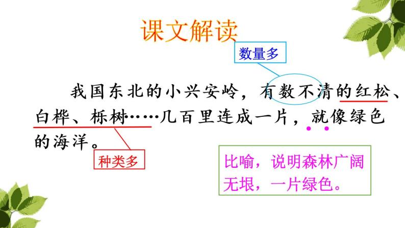 小学语文人教课标版（部编）三年级上册20 美丽的小兴安岭《美丽的小兴安岭》 课件05