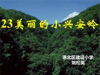 人教部编版三年级上册20 美丽的小兴安岭教课课件ppt