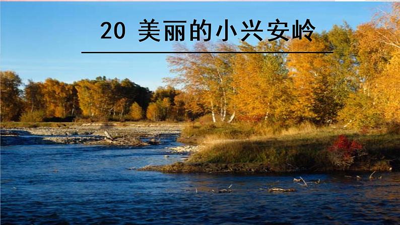 小学语文人教课标版（部编）三年级上册（2018年7月第1版）20美丽的小兴安岭 课件第3页