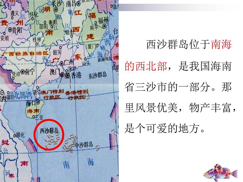 小学语文人教课标版（部编）三年级上册18 富饶的西沙群岛《富饶的西沙群岛》课件 (2) 课件05