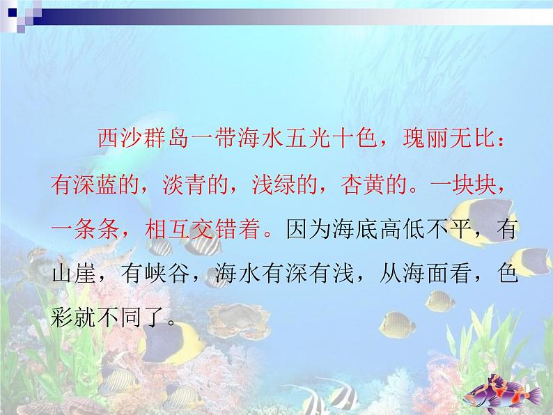 小学语文人教课标版（部编）三年级上册18 富饶的西沙群岛《富饶的西沙群岛》课件 (2) 课件08