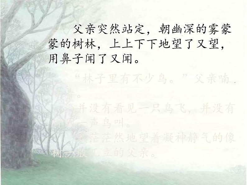 小学语文人教课标版（部编）三年级上册 父亲、树林和鸟 课件07