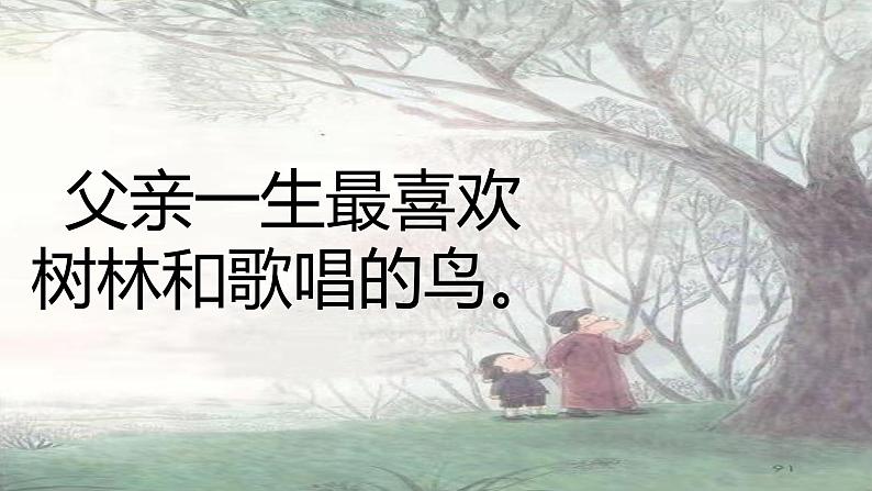 小学语文人教课标版（部编）三年级上册《父亲、树林和鸟》 课件第3页