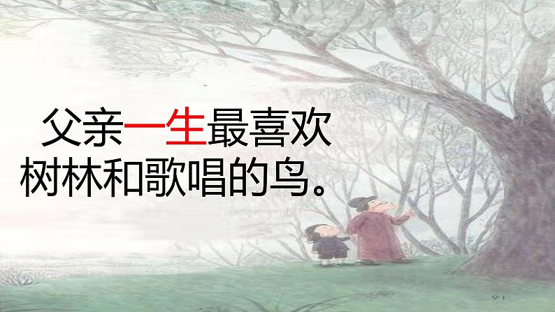 小学语文人教课标版（部编）三年级上册《父亲、树林和鸟》 课件第5页