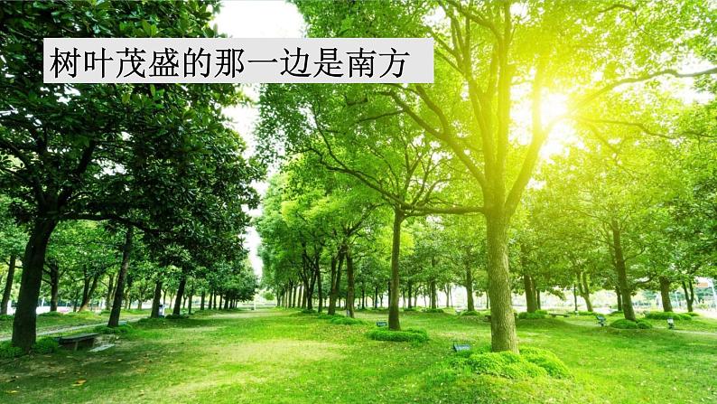 要是你在野外迷了路课件  部编版语文二年级下册第4页