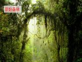 祖先的摇篮课件  部编版语文二年级下册