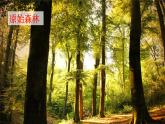 祖先的摇篮课件  部编版语文二年级下册