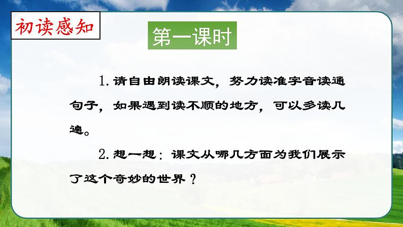 部编版三年级下册语文《我们奇妙的世界》　课件05