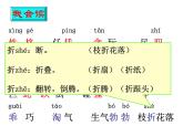 四年级下册语文课件－13猫 ｜部编版