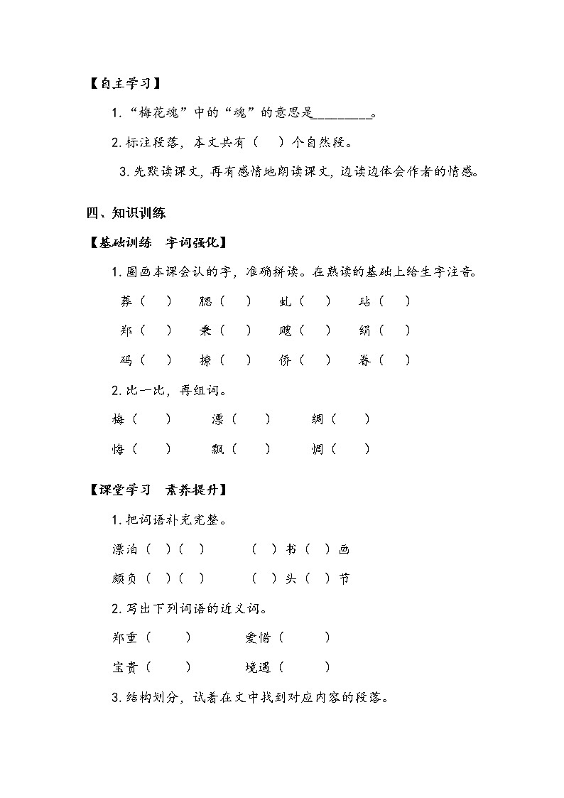 《梅花魂》 学案.doc02