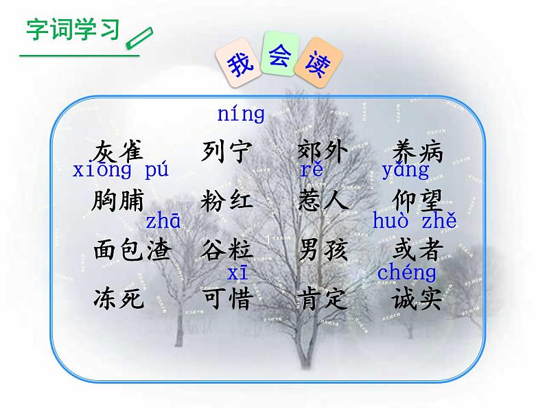 小学语文人教2011课标版（部编）三年级上册（2018年7月第1版）26《灰雀》课件 优课课件第5页