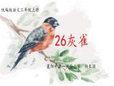 小学语文人教2011课标版（部编）三年级上册（2018年7月第1版）26 灰雀《灰雀》ppt 优课课件