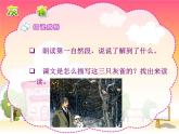 小学语文人教2011课标版（部编）三年级上册（2018年7月第1版）26灰雀 优课课件