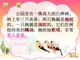 小学语文人教2011课标版（部编）三年级上册（2018年7月第1版）26灰雀 优课课件