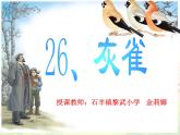 小学语文人教2011课标版（部编）三年级上册（2018年7月第1版）26 灰雀《灰雀》PPT 优课课件