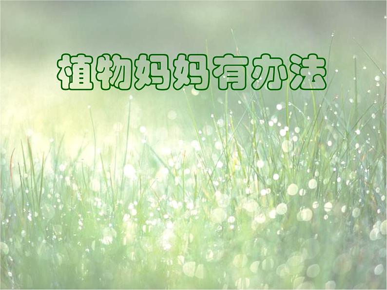 小学语文 人教 （部编）二年级上册 3植物妈妈有办法 课件第1页