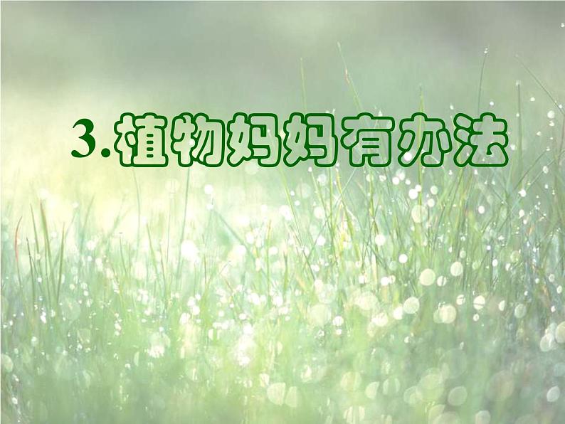 小学语文 人教 （部编）二年级上册 3植物妈妈有办法 课件第7页