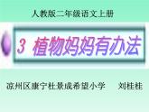 小学语文 人教课标版（部编）二年级上册 3植物妈妈有办法 课件