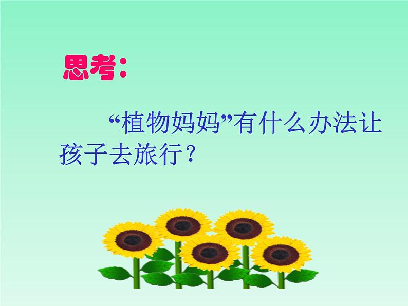 小学语文 人教课标版（部编）二年级上册 3植物妈妈有办法 课件第6页