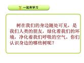 小学语文 人教2011课标版（部编） 二年级上册 2017年7月第1版） 2树之歌 课件