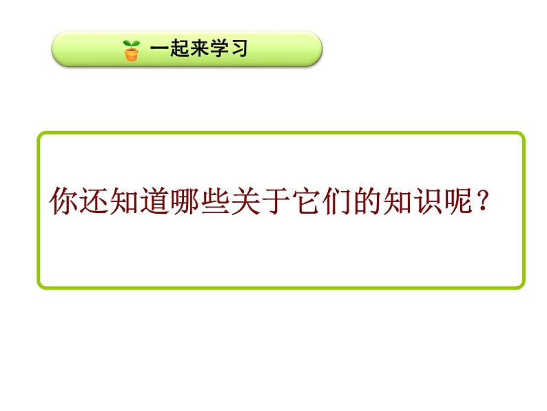 小学语文 人教2011课标版（部编） 二年级上册 2017年7月第1版） 2树之歌 课件第7页