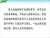 小学语文人教 （部编）二年级上册 植物妈妈有办法 课件