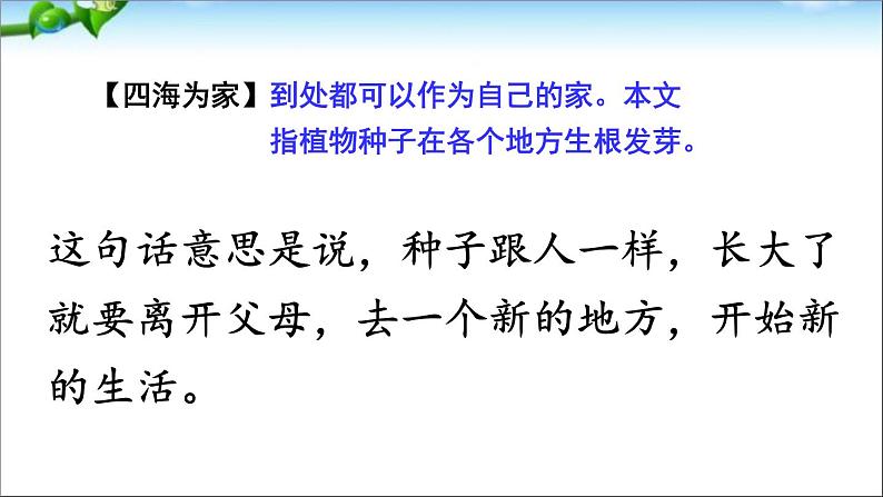 小学语文人教 （部编）二年级上册 植物妈妈有办法 课件08