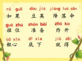 小学语文 人教（部编）二年级上册（2017年7月第1版）植物妈妈有办法 课件
