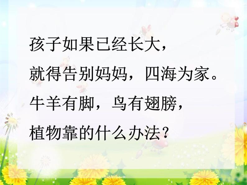 小学语文 人教（部编）二年级上册（2017年7月第1版）植物妈妈有办法 课件07