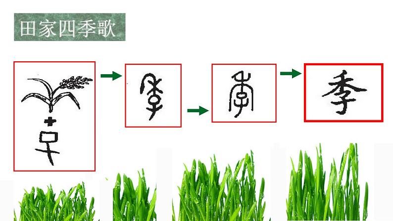 小学语文 人教2011课标版（部编） 二年级上册 识字4《田家四季歌》 课件第5页